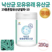 국내산 낙산균 뷰티르산 낙산 모유 유산균 부티르산 분말 가루 락토바실루스 가세리 플란타룸 루테리 엘 아르지닌 플로린 프락토올리고당 230g 1통 부모님 여성 남성 추천 식품 유신균 유산군 유익균 먹이 19종 혼합유산균 L 페멘텀