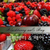 마리포사 디퓨저 프래그런스 오일 50ml 100ml 디퓨저 캔들 향수, 라벤더 100ml(심신안정과 힐링)