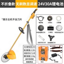 논두렁 동력 긴풀 제초기 견착식 예초기 풀베는 풀깍는 기계 브러시리스 전기 잔디 깎는 충전식 농업 다기능 운반 잡초 유물 소형 가정용 잔디 깎는, 브러시리스(디지털 속도 제어)(2000w) + 3