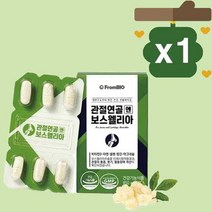 프롬바이오 관절연골엔 보스웰리아 30정 x 1박스, 상세페이지 참조, 상세페이지 참조