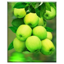 FASEN diy보석십자수 캔버스 형액자 세트 40cm x 50cm, AYW-2풋사과