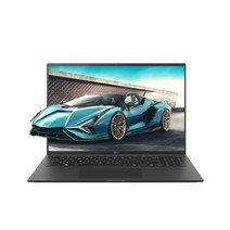 LG전자 그램16, Free DOS, 옵시디안 블랙, 256GB, 코어i5, 16ZD95P-GX5BK, 8GB