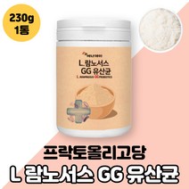 LGG유산균 l. 람노서스 gg 유산균 분말 가루 락토바실러스 락터바실러스 락투 낙토 랍토바실러스 남노서스지지 람노세스 람노서스쥐쥐 람누서스 프락토올리고당 프리 프로바이오틱스, L람노서스GG유산균 1통