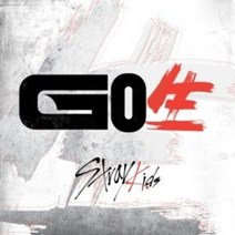 [개봉앨범] 포토카드 미포함 스트레이키즈 Stray Kids 앨범 고생 Go Live | Yellow 버젼