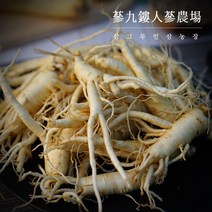 (삼화원)세척파삼 5~6년근 바로먹는 수삼 금산인삼 세척인삼 굵은파삼 파지 못난이 인삼, 세척파삼500g