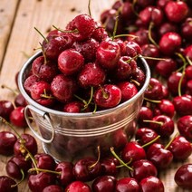 새콤 달콤한 생체리 2.5kg 5kg, 1박스, 칠레산 체리 2.5kg(26mm)