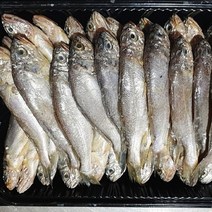 국내산 깡치 30미 급냉/ 작은 참조기