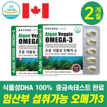 식약처 기능성인정 식물성 오메가3 임산부 수유부 섭취 가능 중금속 검사 완료 식물성 조류 추출 DHA 100% 비타민D E 함유 캐나다 완제품 소형캡슐 혈중중성지질 기억력 개선, 2박스