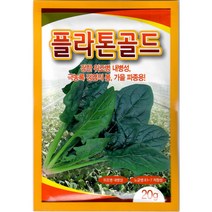 사카타 플라톤골드 시금치 씨앗 20g
