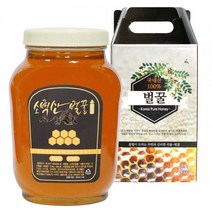 자연에서 온 소백산벌꿀 햇꿀 사양벌꿀 2.4kg, 갈색벌꿀(사양 잡화), 2병