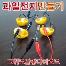 [∂LL7] 향앤미과학 과일 전지 고휘도 발광 다이오드 1인용 실험키트 교재 교구 만들기 학습 교육용_h§eEA, §본상품§e