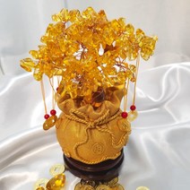 돈이 들어오는 금전수 개업 이사 선물 집들이 돈나무 (받침대 있음), 황금돈나무 중