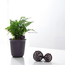 뚜껑형비료통 플라스틱비료통 플렌테리어 완효성 화분 원예 장식 가드닝, 단일옵션