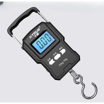 휴대용 전자저울 손저울 무게추 저울 크레인 호이스트, 휴대용 전자저울 손저울 50kg