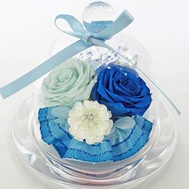 [Amazon.co.jp 한정]프리자브드 플라워 선물 오래 오래 죽지 않는 꽃 어머니의 날 아버지의 날 경로의 날 니치프로 유리 돔 미니