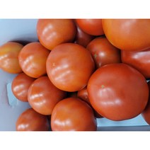 [새벽배송]초신선 완숙 토마토 가정용 매일경매입고 과일선물 과일주스 토망고 완숙토마토 고당도 프리미엄 / 가락시장 서울청과, (특1등급)완숙토마토 5kg (2L-2S)