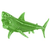 4D마스터 피스 슬라이스퍼즐 샤크 그린 야광 입체 모형 교구 6WA99075, 1개, 1개