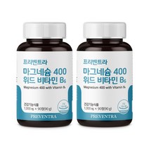 프리벤트라 마그네슘 400 위드 비타민B6 1000mg x 90정, 90g, 2개