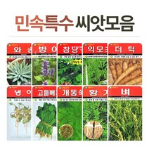 화분월드 민속/희귀 씨앗, free, 도라지