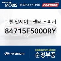 현대모비스 아슬란 센터 스피커 그릴 색상 울트라마린 (84715F5000RY)