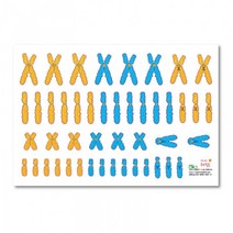 염색체 모형(세포분열과정 설명 자석)