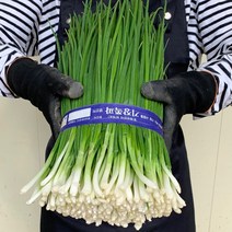 해풍맞은 기장쪽파 1단 보성 쪽파, 기장 깐쪽파(750g내외), 1개