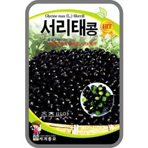 콩 옥수수 씨앗 강낭콩 작두콩 서리태 호랑이콩 종자 백태 땅콩 율무 녹두 팥 완두콩 씨, 16. 서리태콩 30g