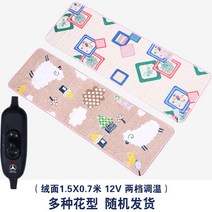 전기장판 차량용전기 온열매트 24v인버터 12볼트자동차 싱글 대형트럭 차량방석 침대, T05-(150*70cm)스웨이드 두꺼운 차량용 12v