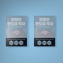 현명한 반도체 투자 책 소재 설계 장비주 완벽 분석