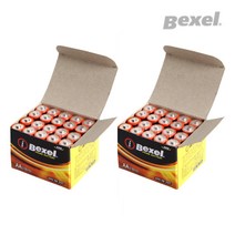 벡셀 알카라인 AA건전지 벌크, 20개입, 2개