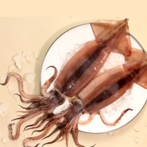 국내산동해 냉동오징어 선동 오징어 동해안오징어 2미 5미, 오징어 (중) 5미(국내산)