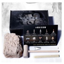 암모나이트화석 발굴키트 유물 발굴 화석 키트 고대유물 세트, 10종 발굴