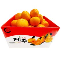 제주 천혜향 -가정용 벌크- 5kg (중) 22~25과, 1개