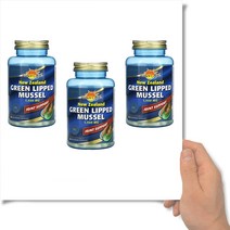 네이쳐스라이프 뉴질랜드 초록홍합 오일 1500mg 90 캡슐 초록입 그린 뮤셀 홍합 2통