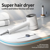 슈퍼 헤어 드라이어 차이슨 드라이기 가벼운 저소음 음이온 프리미엄 헤어 드라이어, 한국, 장미 5개 부품