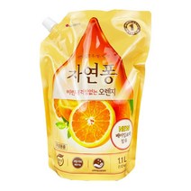 자연퐁 비린내 걱정없는 오렌지 리필 주방세제 1.1L O _ 71559EA, 1, 본상품선택