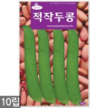 백작두콩 씨앗 10립 - 작두콩 작두콩씨앗 작두콩씨 콩씨앗 콩씨 씨 주말농장 텃밭, 19_적작두콩(10립)