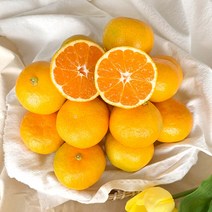 [제주열매] 서귀포 산지직송 고당도 하우스 감귤, 1box, 하우스 로얄소과(2S~S)-10kg (귤중량 9kg)