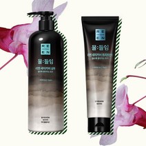 리엔 물들임 염색샴푸450ml+트리트먼트150ml 식약처인증 LG생활건강 탈모 볼륨 새치커버 샴푸, 3개