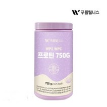 푸름웰니스 WPI WPC 프로틴 750g +내장스푼 세트 푸름웰니스 WPI WPC 프로틴 750G 식물성 단백질 파우더 보충제, 2개