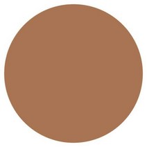 캔메이크 컨실러 컬러 스틱 모이스 트러스트 커버 6종, -개, 베이지 오클