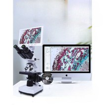 디지털 실체현미경 광학현미경 스탠드 고화질 광학, C 독일 순동 렌즈 + 7인치 고화질 스크린