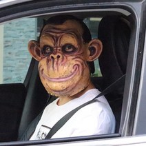 웃긴마스크 동물 마스크 전체 얼굴 녹색 머리 물고기 헤드 기어 팬더 원숭이 여우 유니콘 고릴라 재미 있은, 18 13