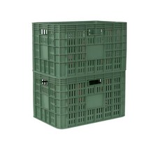 여기상사 10p 김장 플라스틱 사각 야채 배추절임통 상자, 상품선택, 배추상자(재생)10개
