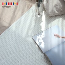 [한샘PICK] 브루니 극세사 러그 (100x150 중형) 색상택1