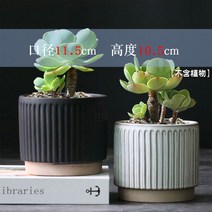 다육화분 심폴 미니 베란다 세트 토분 화분, 도자기, 옵션10