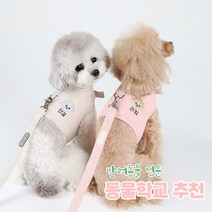 리토가토 러비 커스텀 캐릭터 강아지 하네스 블루 (컴퓨터 자수) 동물학교 추천, 민트