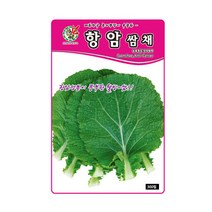 항암쌈배추 씨앗 채소 쌈배추종자(100립) MK042