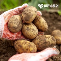 미쁜스토어 포실포실한 2022년 햇 감자 3kg 5kg 10kg 20kg, 1개, 감자 5kg 특(찜용/요리용)
