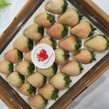 차칸유통 전북 무주 프리미엄 백설딸기 (흰딸기)600g 당일수확